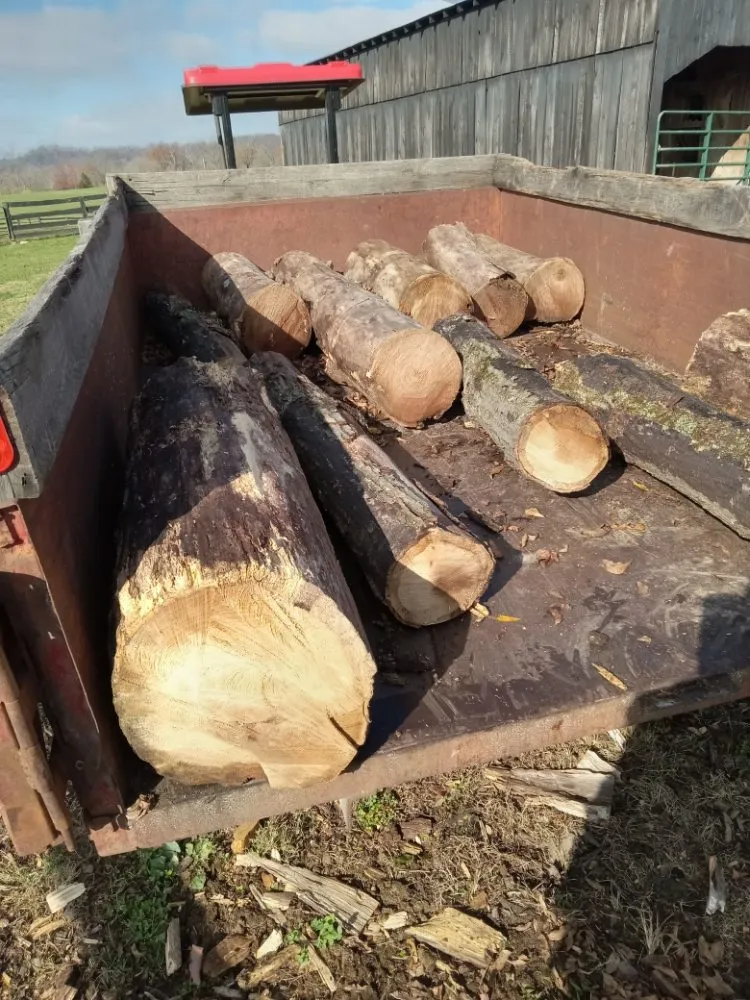 Local landscaping services for homes in Stanford, KY by J and B's Odd Jobs and Lawncare Services