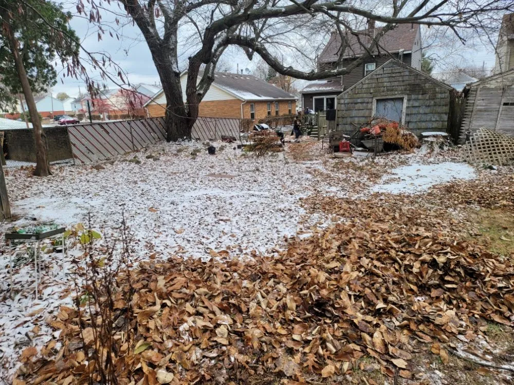 Top-rated yard maintenance for residential properties in Canton, OH by J and D LawnStarz Snow and Mow