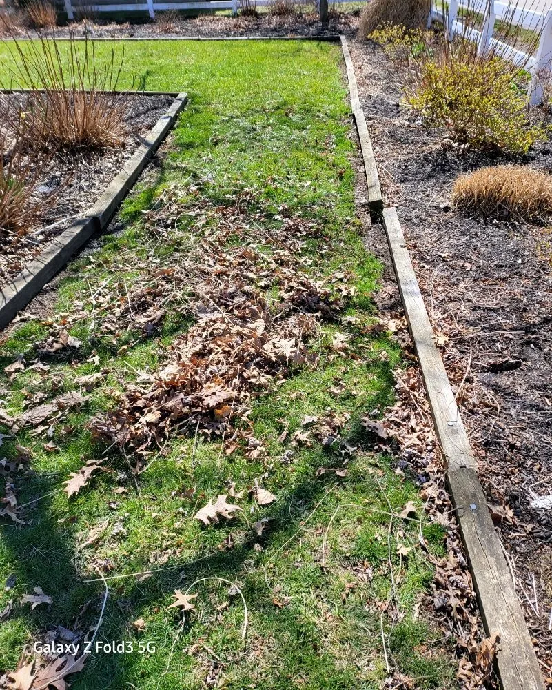 Local lawn mowing service experts serving Canton, OH - J and D LawnStarz Snow and Mow