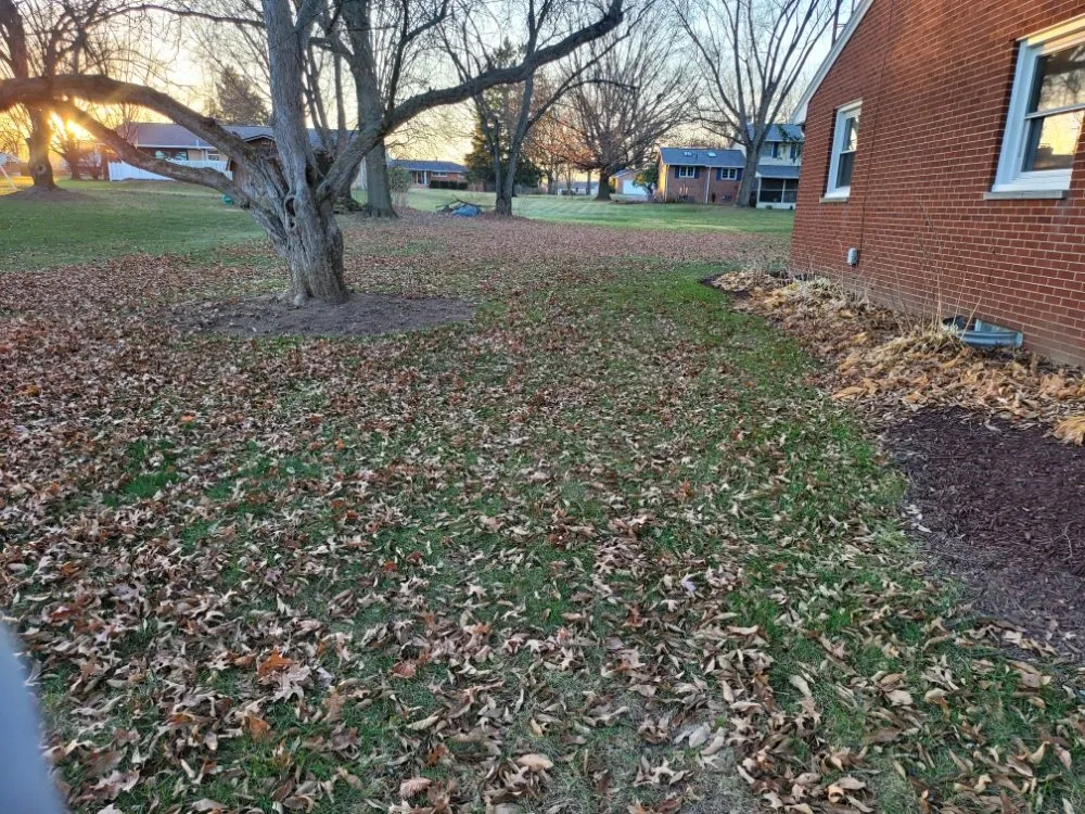 Local lawn mowing service in Canton, OH by J and D LawnStarz Snow and Mow