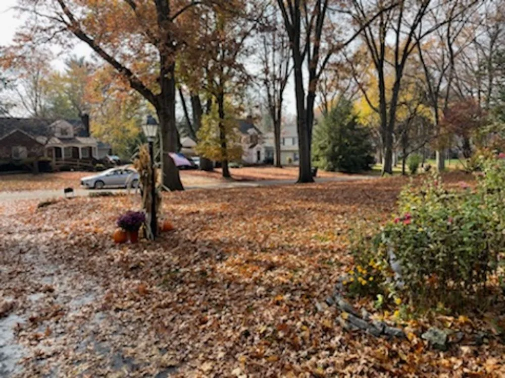Trusted yard cleanup service for homes in Canton, OH by J and D LawnStarz Snow and Mow