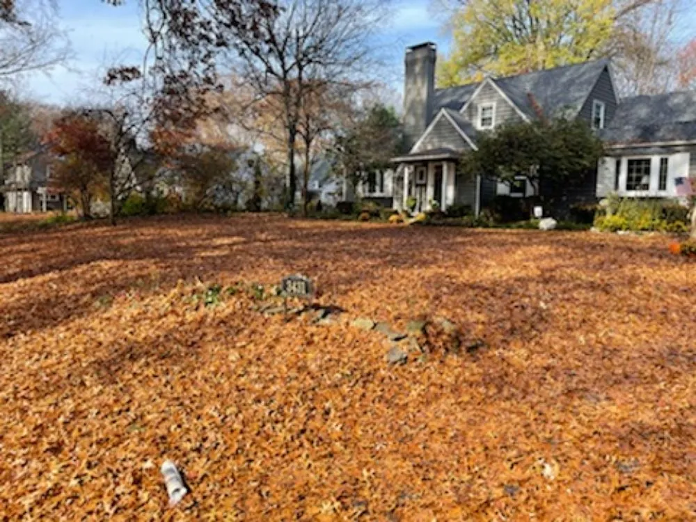 Professional yard maintenance experts serving Canton, OH - J and D LawnStarz Snow and Mow