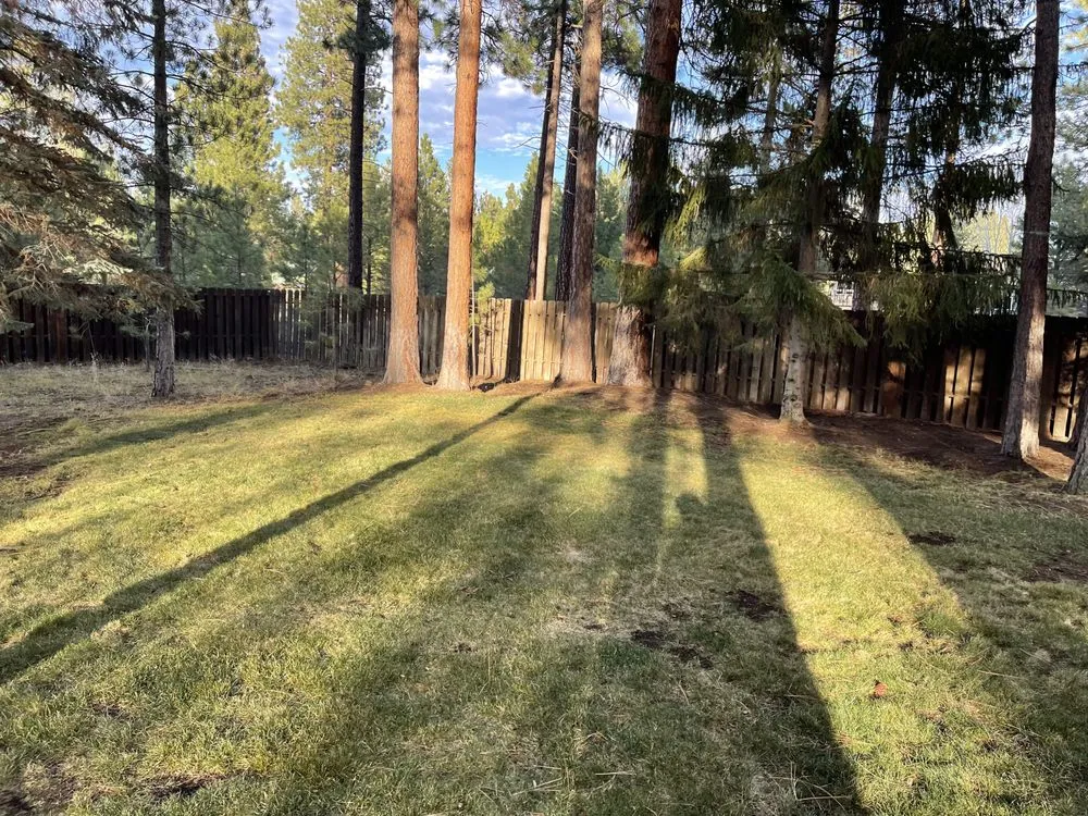 Professional yard cleanup service in Sisters, OR - J And E Landscape maintenance