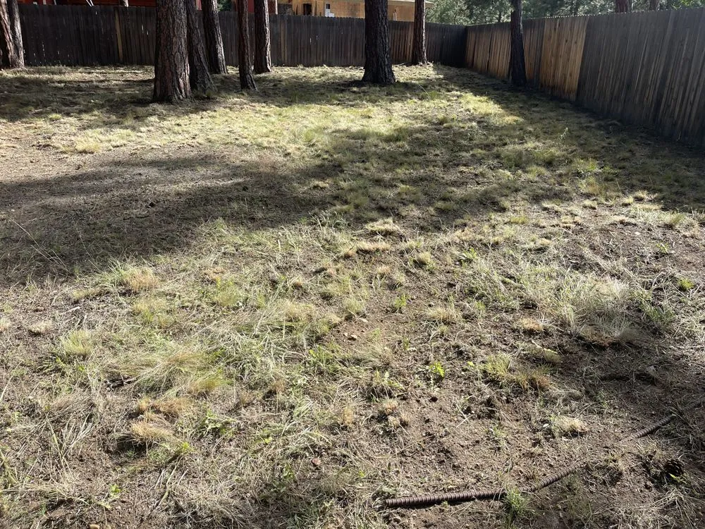 Trusted lawn care service for year-round maintenance across Sisters, OR - J And E Landscape maintenance