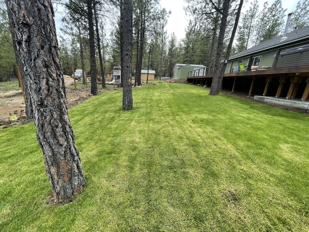 Professional lawn care service in Sisters, OR by J And E Landscape maintenance