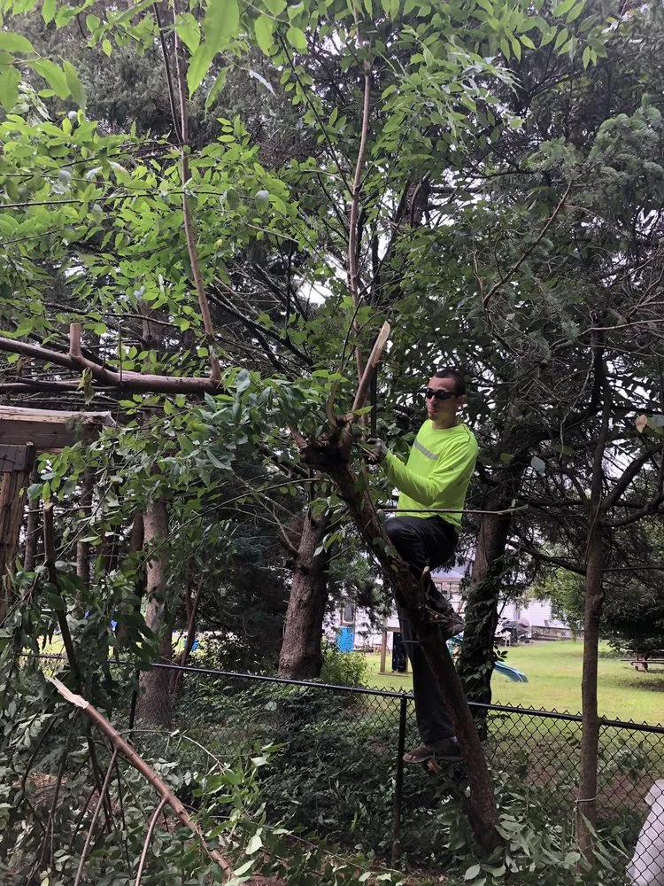 Top-rated yard cleanup service for year-round maintenance in Wallingford, CT by J and H Landscaping Ct