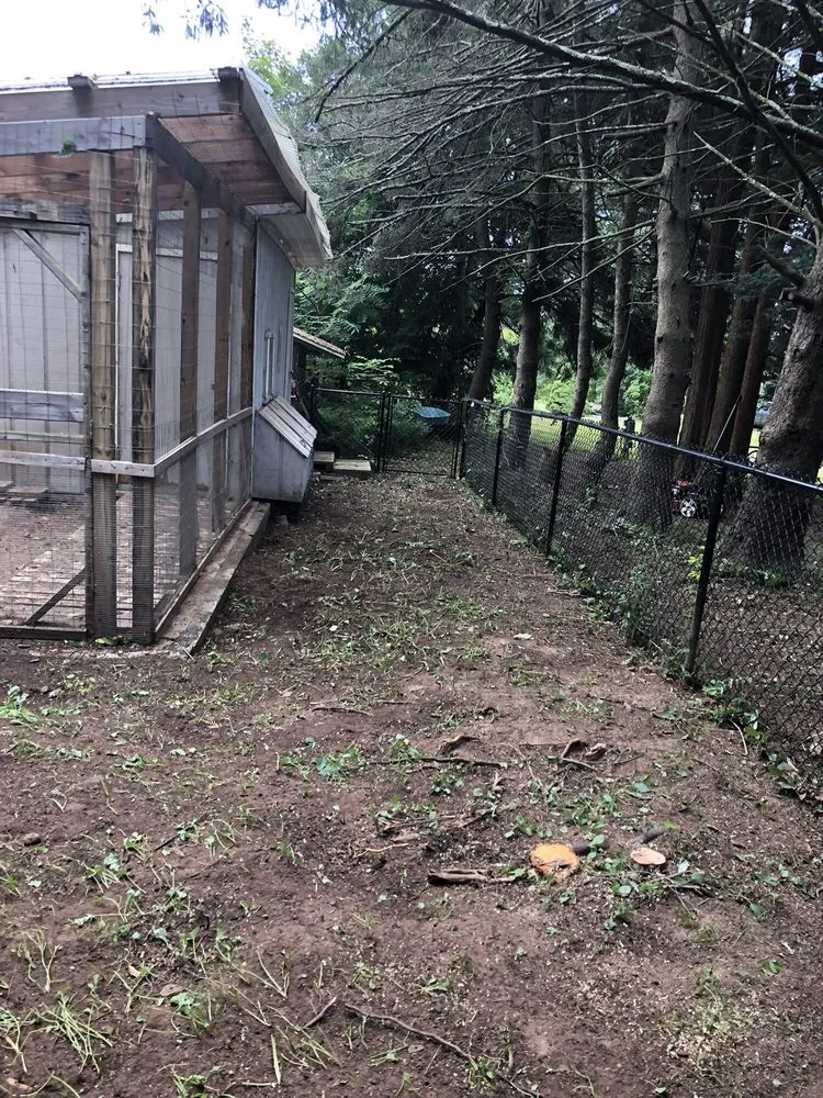 Reliable landscaping services for beautiful yards in Wallingford, CT by J and H Landscaping Ct