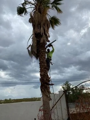 J And J fresh cut landscaping Logo