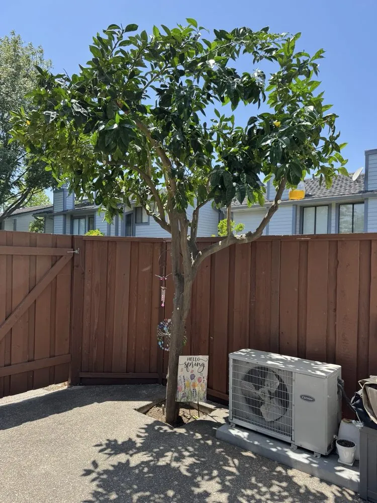 Custom landscaping services experts serving Atherton, CA - J and J Landscape