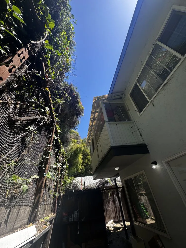 Top-rated outdoor landscaping in Atherton, CA - J and J Landscape