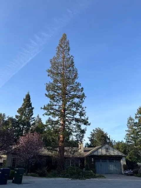 Reliable yard maintenance for outdoor upgrades across Atherton, CA - J and J Landscape