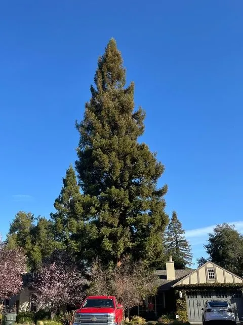 Top-rated lawn care service for homes across Atherton, CA - J and J Landscape