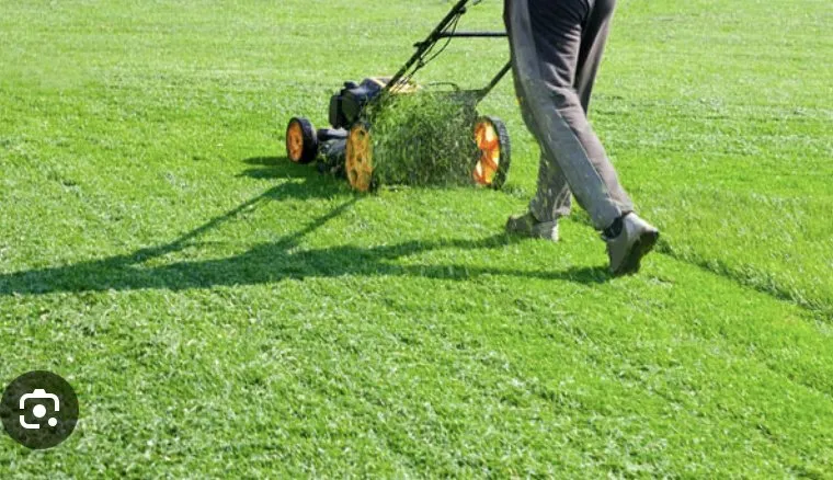 Top-rated yard cleanup service for homes in Tacoma, WA by J and J Landscape