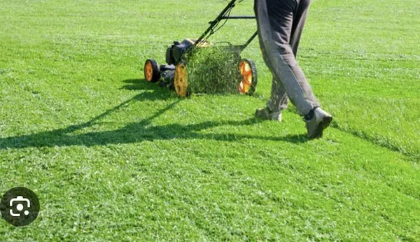 J and J Landscape Logo