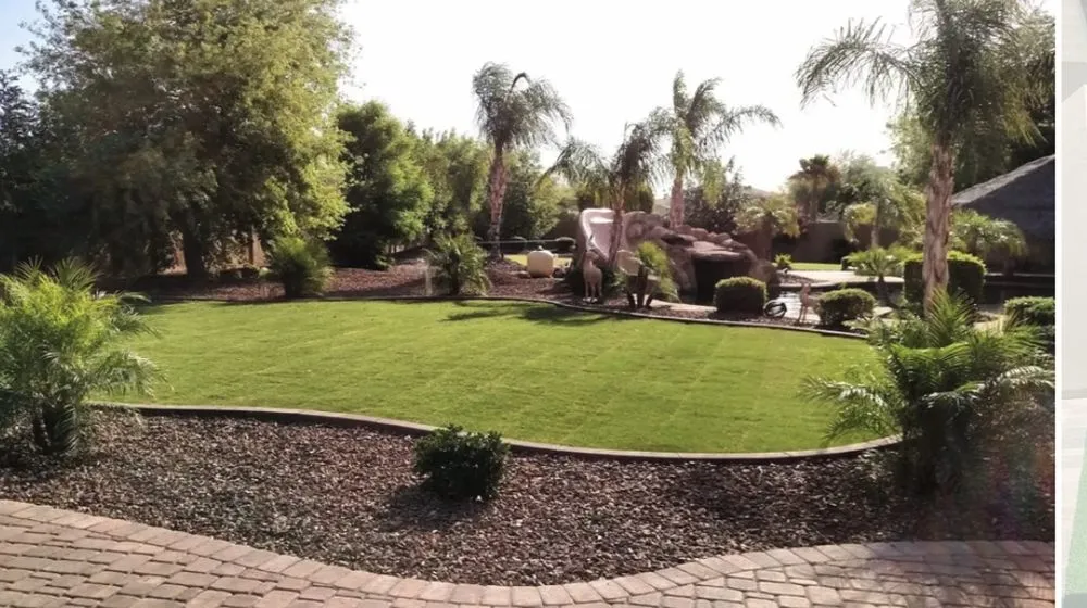 Top-rated landscape design in Anthem, AZ by J and J Landscaping