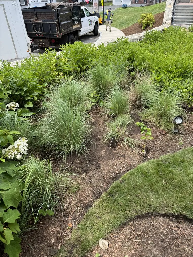 Top-rated yard cleanup service near you in Boston, MA by J and J Landscaping