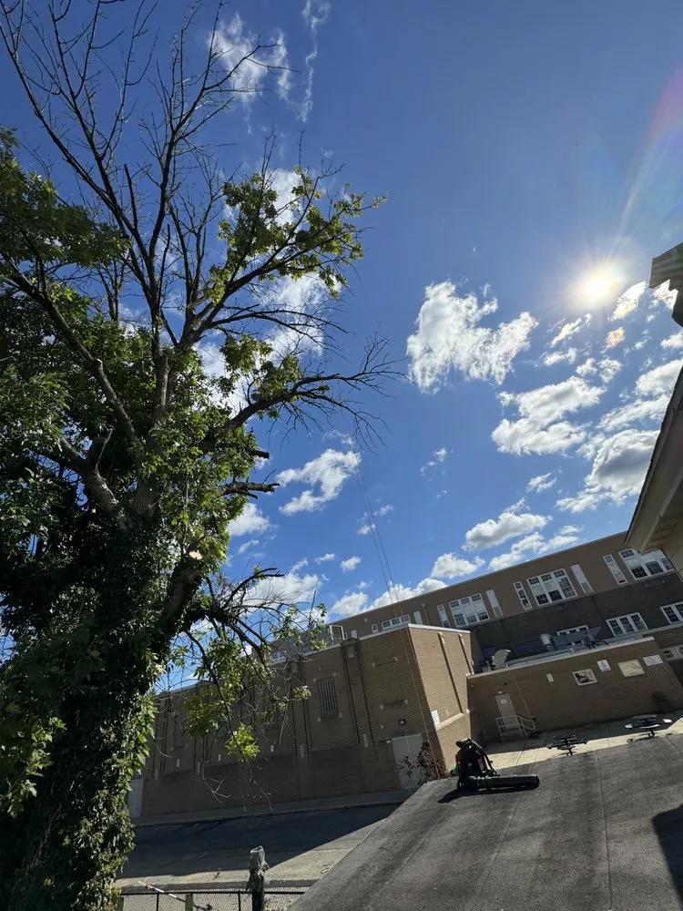 Affordable garden landscaping in Cherry Hill, NJ by J and J Landscaping