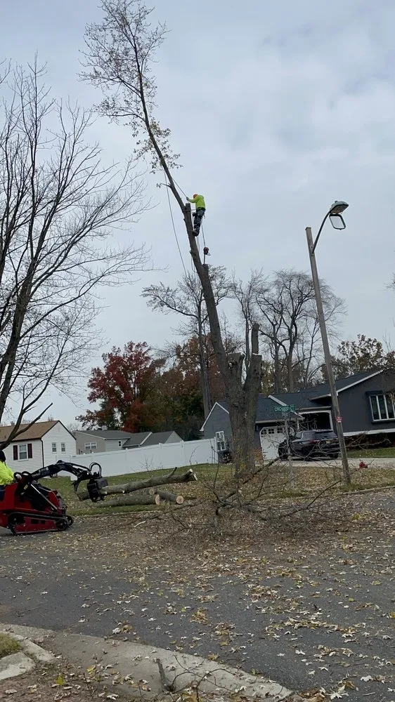 Local lawn mowing service for beautiful yards across Cherry Hill, NJ - J and J Landscaping