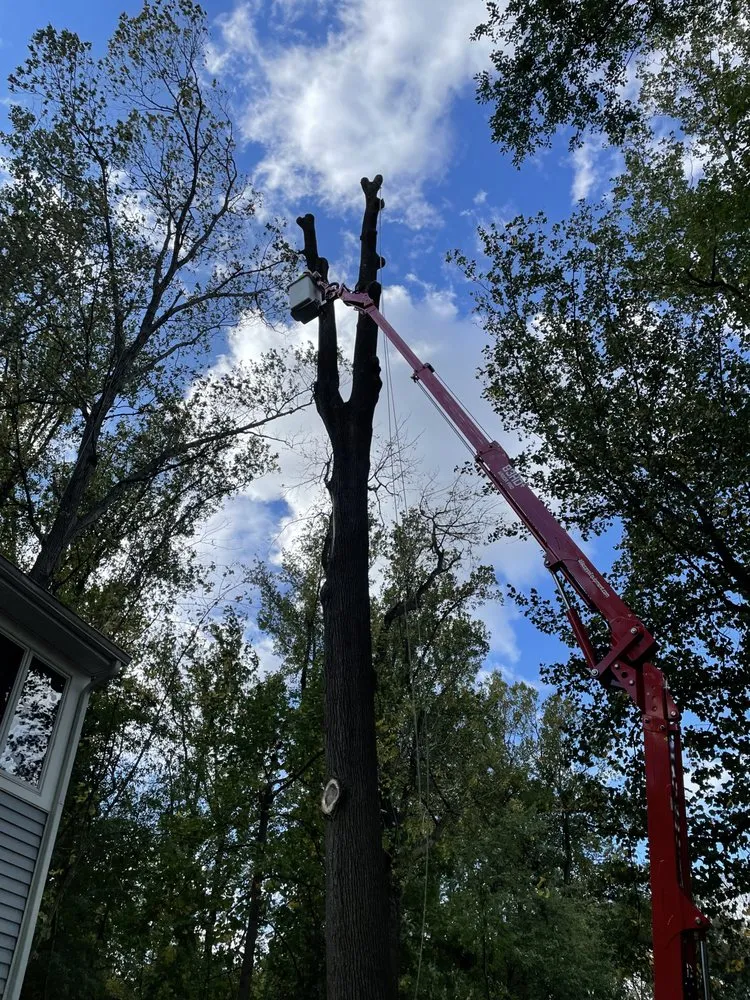 Affordable yard cleanup service experts serving Cherry Hill, NJ - J and J Landscaping