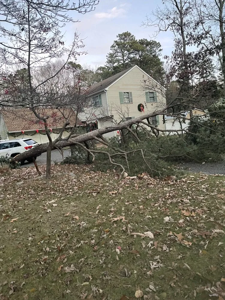 Trusted yard maintenance with custom design in Cherry Hill, NJ by J and J Landscaping