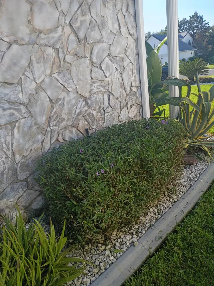 Local lawn mowing service for homes in Fruitland Park, FL by J And J Landscaping