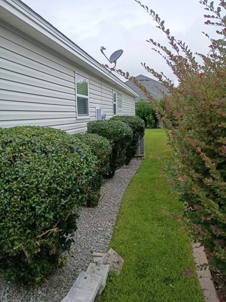 Affordable landscape design in Fruitland Park, FL by J And J Landscaping