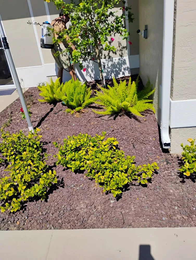 Trusted residential landscaping in Fruitland Park, FL - J And J Landscaping