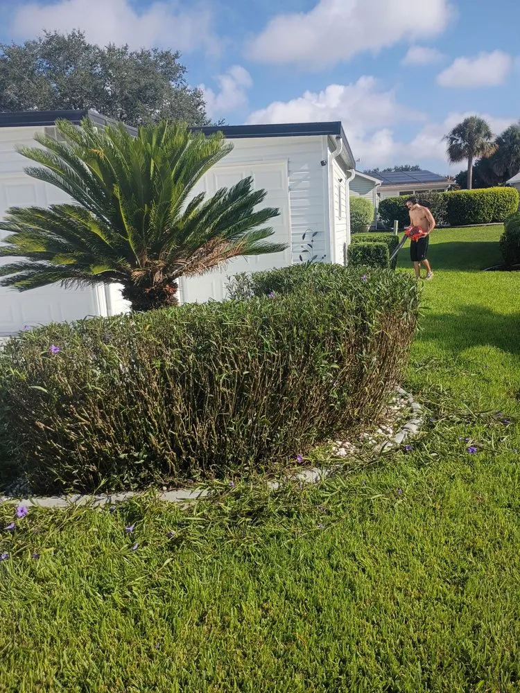 Trusted lawn care service in Fruitland Park, FL - J And J Landscaping