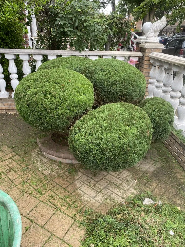 Trusted landscape design experts serving New York, NY - J and J Landscaping