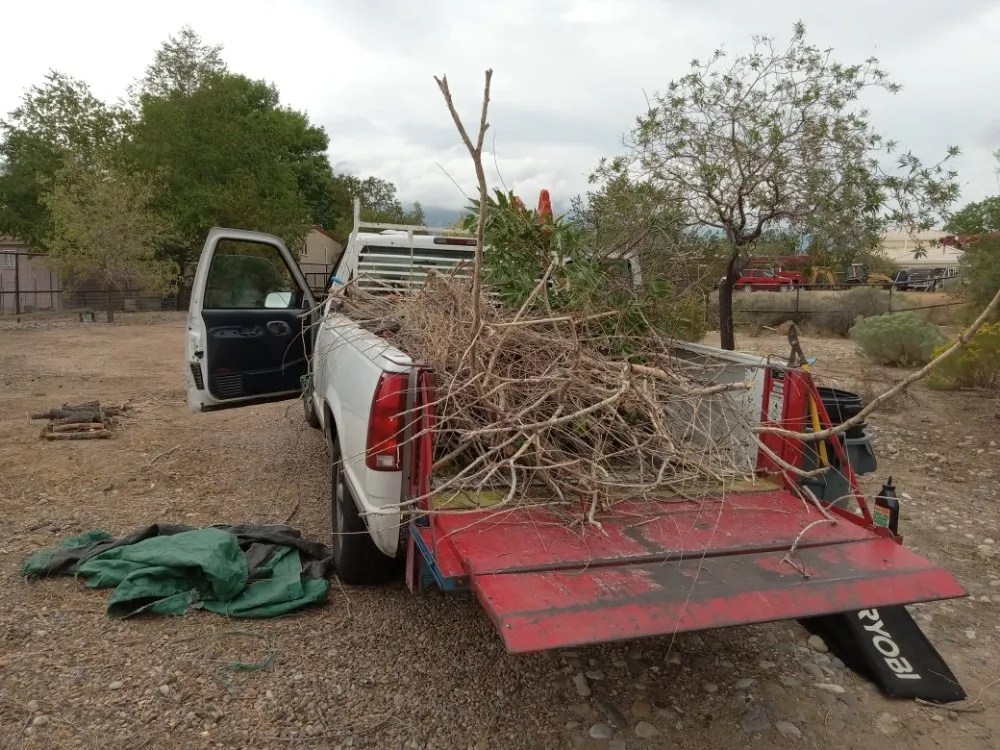 Trusted landscape installation in Albuquerque, NM by J AND J RESTORATIONS