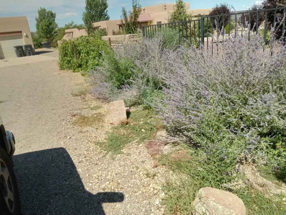 Expert residential landscaping for residential properties across Albuquerque, NM - J AND J RESTORATIONS