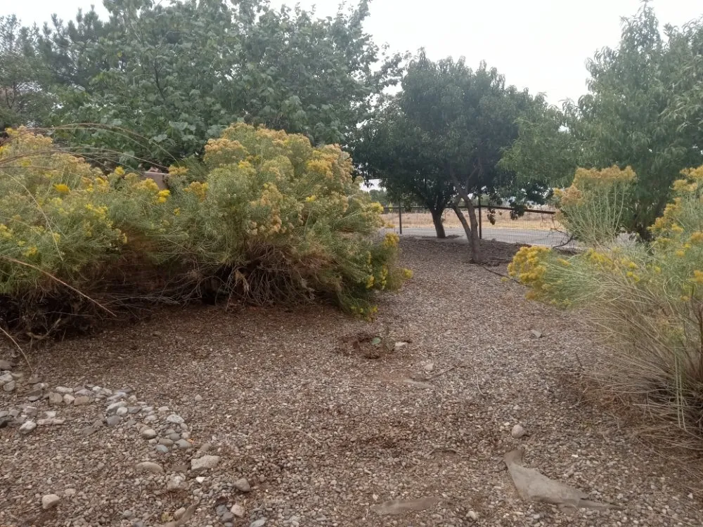 Expert yard maintenance in Albuquerque, NM - J AND J RESTORATIONS