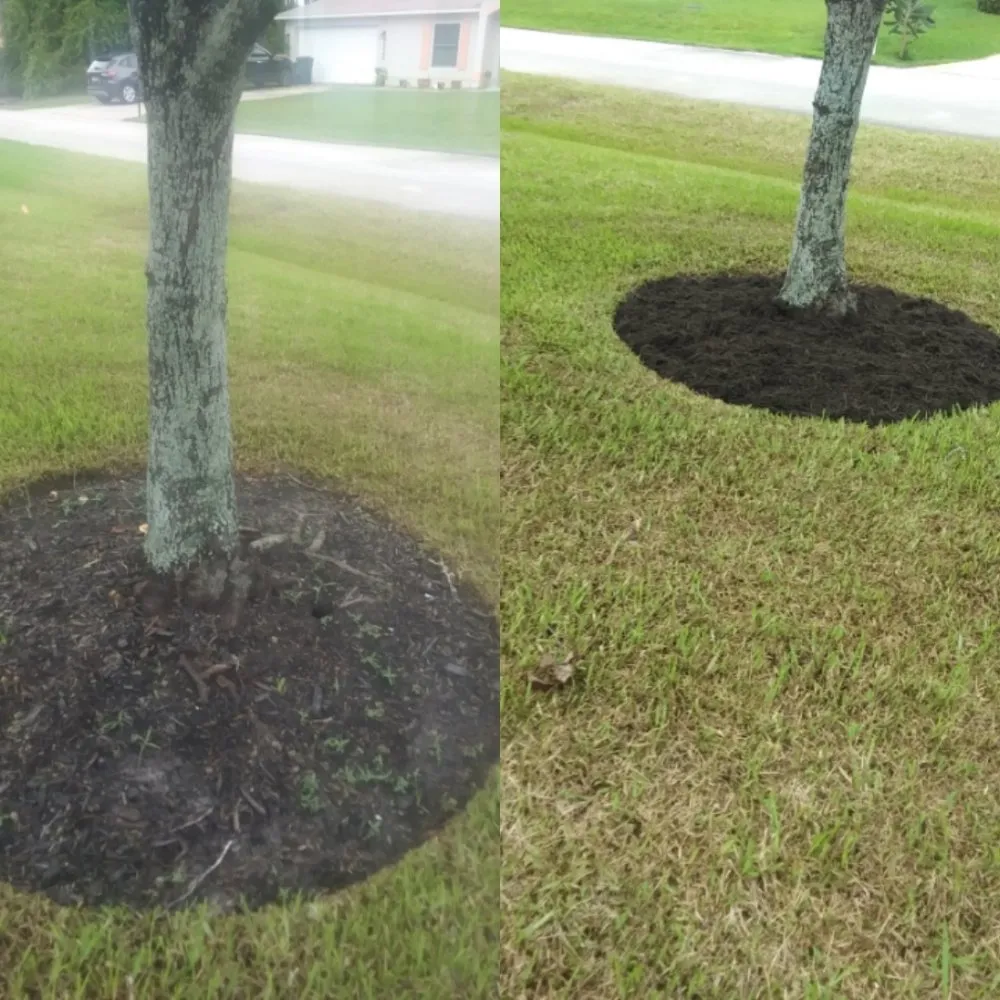 Expert outdoor landscaping in Ormond Beach, FL by J and j Weeding Picking