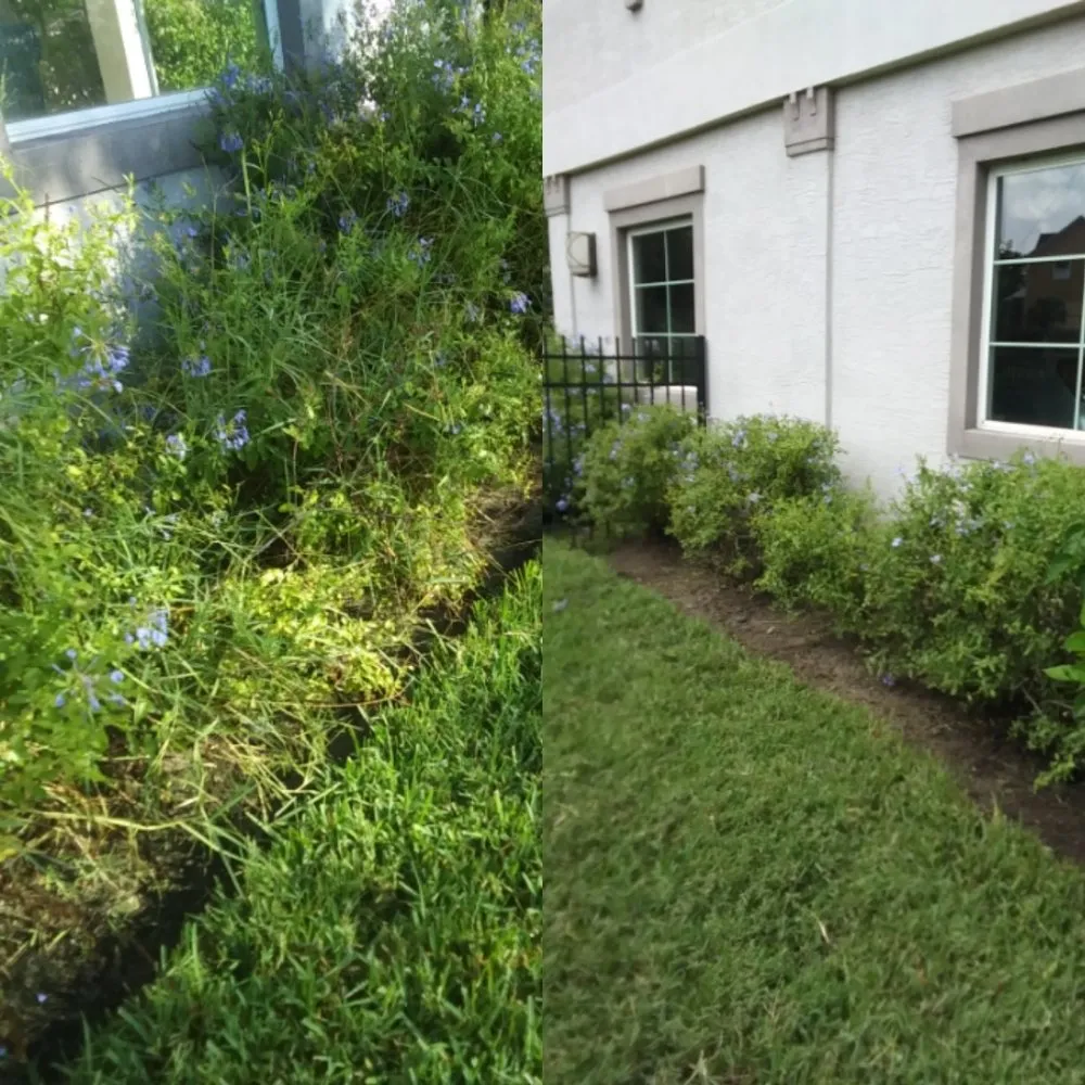 Trusted landscape design for residential properties in Ormond Beach, FL by J and j Weeding Picking