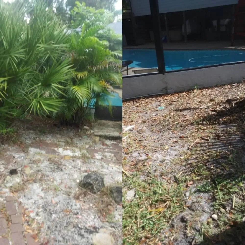 Custom residential landscaping in Ormond Beach, FL - J and j Weeding Picking