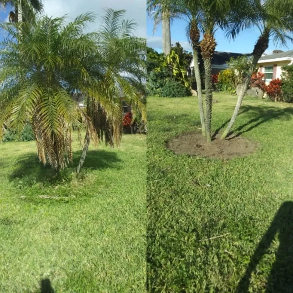 Custom lawn care service in Ormond Beach, FL - J and j Weeding Picking