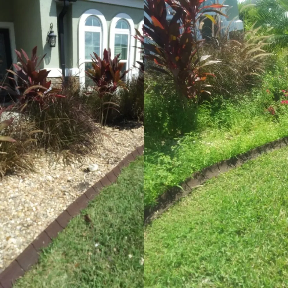 Affordable outdoor landscaping for homes in Ormond Beach, FL by J and j Weeding Picking