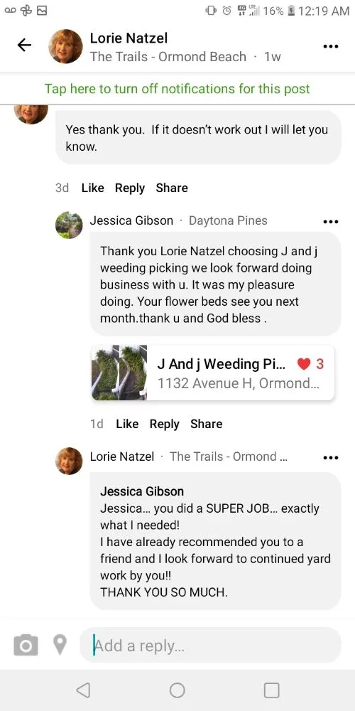 Reliable landscape design experts serving Ormond Beach, FL - J and j Weeding Picking