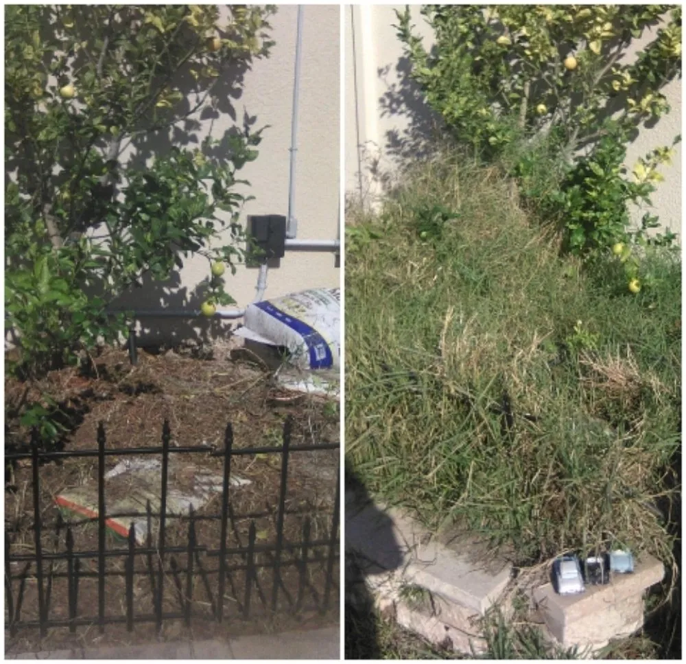 Affordable outdoor landscaping in Ormond Beach, FL - J and j Weeding Picking