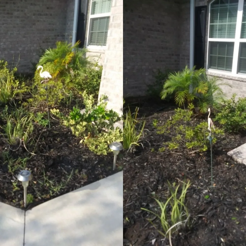 Top-rated yard cleanup service for residential properties across Ormond Beach, FL - J and j Weeding Picking
