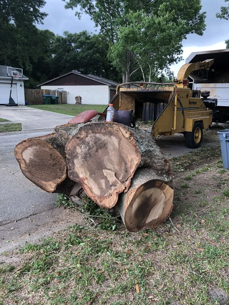 Reliable lawn mowing service in Apopka, FL - J and J's Lawn and Tree Service