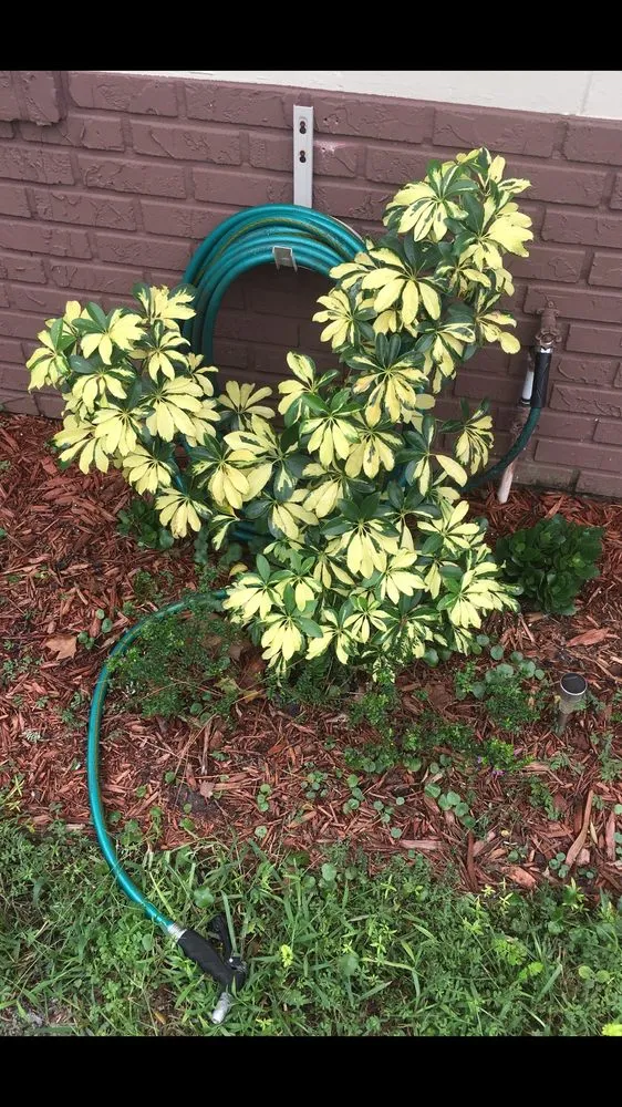 Expert landscape installation with custom design in Apopka, FL by J and J's Lawn and Tree Service