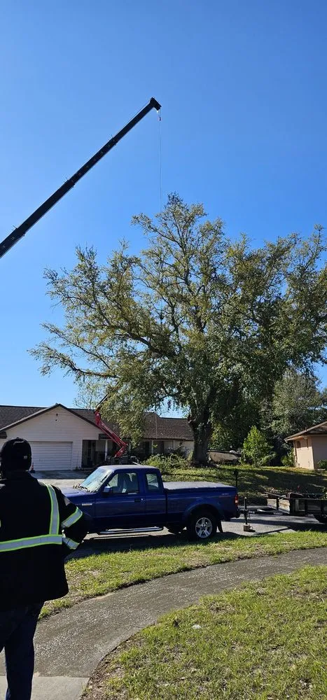 Reliable yard cleanup service in Apopka, FL - J and J's Lawn and Tree Service