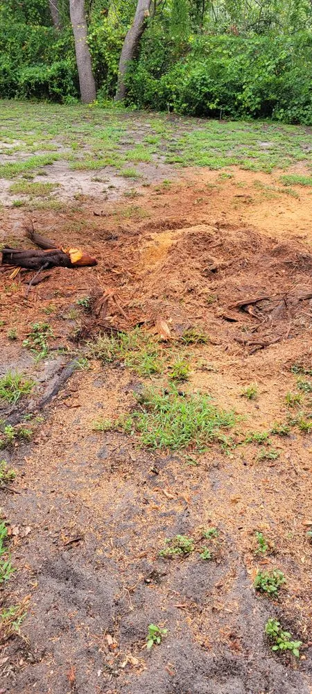 Professional landscaping services for year-round maintenance in Apopka, FL by J and J's Lawn and Tree Service