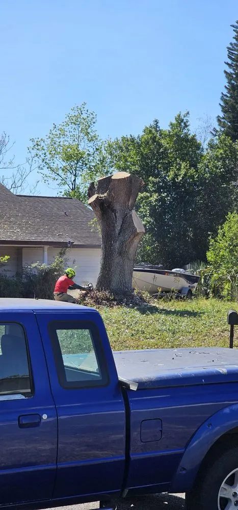 Expert landscaping services for residential properties in Apopka, FL by J and J's Lawn and Tree Service