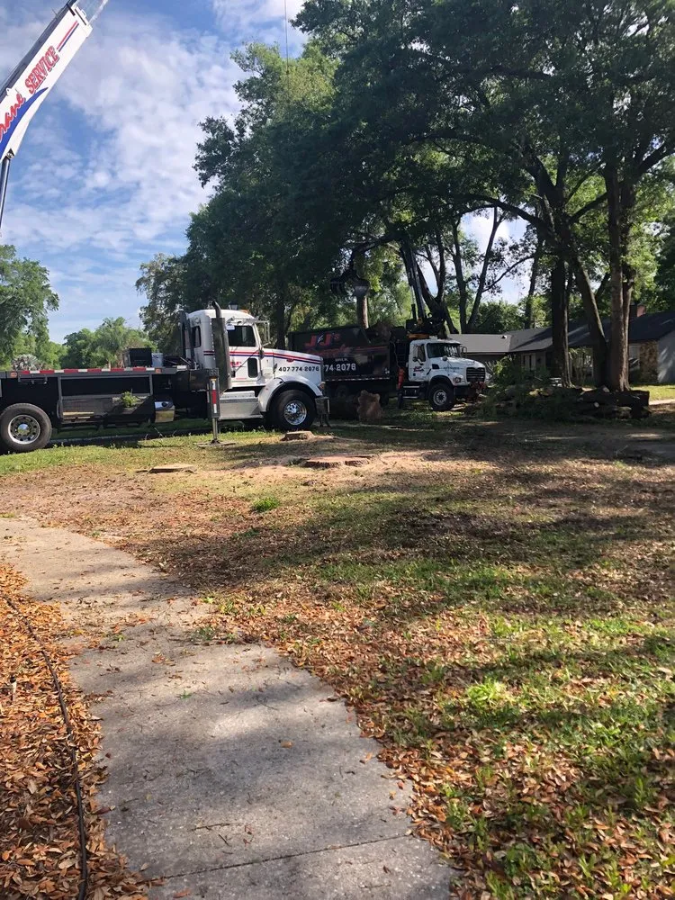 Professional yard cleanup service in Apopka, FL by J and J's Lawn and Tree Service
