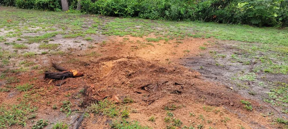 Trusted residential landscaping for residential properties across Apopka, FL - J and J's Lawn and Tree Service