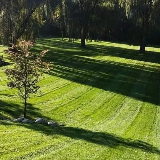 Trusted landscape design in Wyandotte, MI by J and K Lawn Service