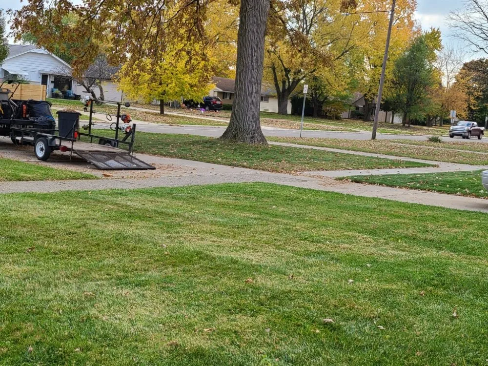 Expert yard cleanup service for year-round maintenance across Wyandotte, MI - J and K Lawn Service