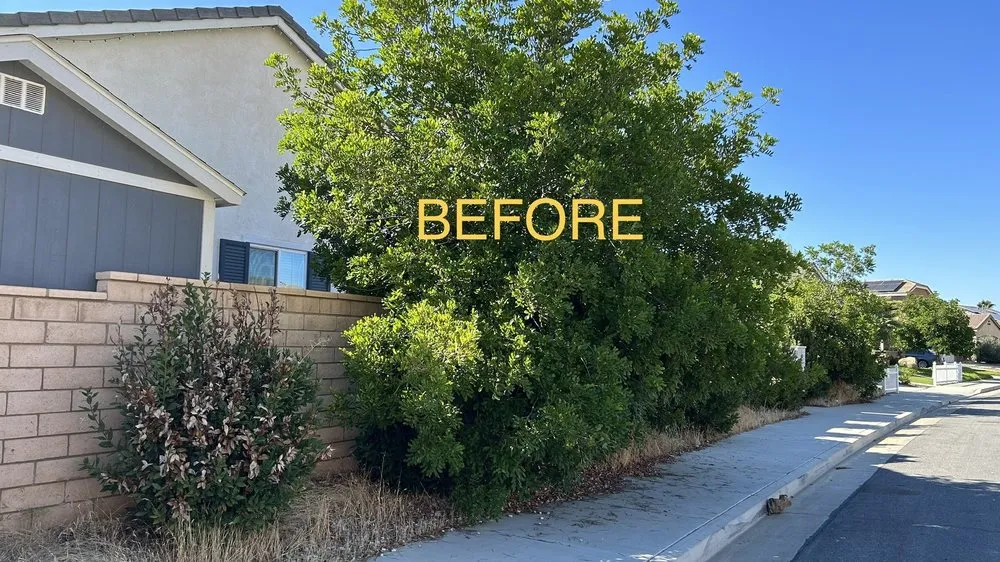 Reliable lawn mowing service in Perris, CA - J and m landscape